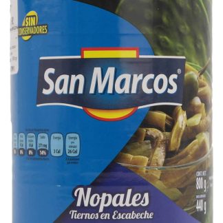 San Marcos Cactus - Inlagd